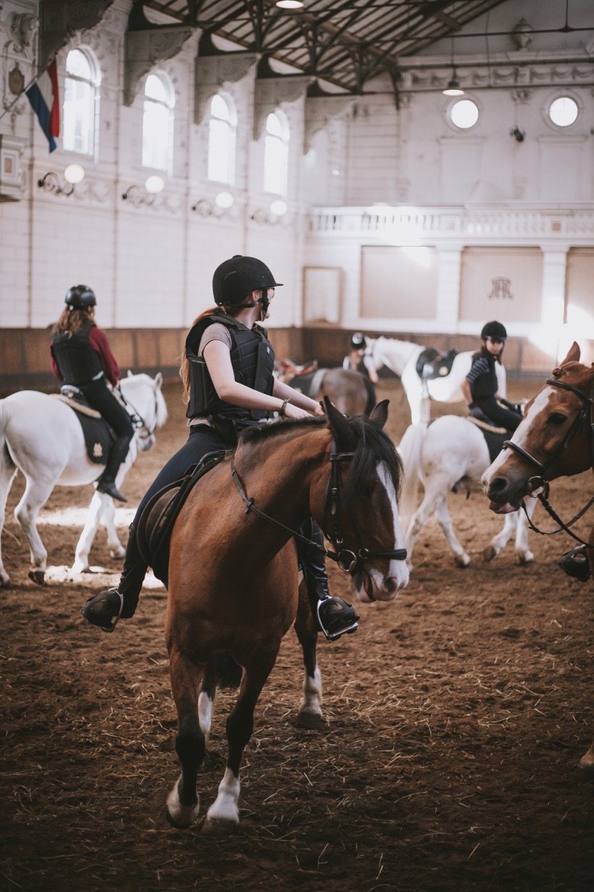 Paardrijden Hollandsche Manege